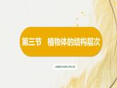 人教版 初中生物七年级上册1.3.3植物体的结构层次课件+视频