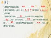 人教版 初中生物七年级上册1.3.3植物体的结构层次课件+视频
