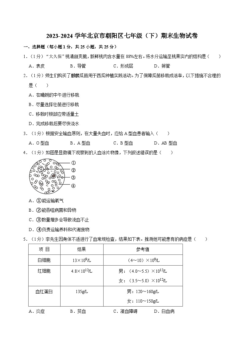 北京市朝阳区2023-2024学年七年级下学期期末考试生物试卷第1页