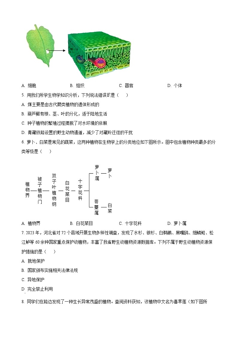 2024年河北省中考生物真题（空白卷）第2页