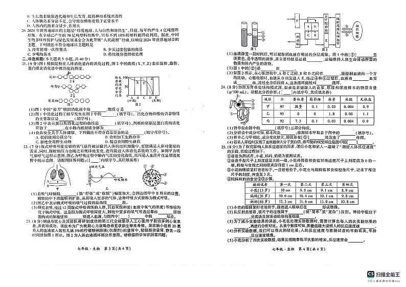 新疆巴音郭楞蒙古自治州2023-2024学年七年级下学期期末考试生物试卷第2页