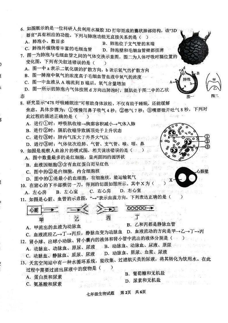山东省济宁市微山县2023-2024学年七年级下学期7月期末生物试题第2页