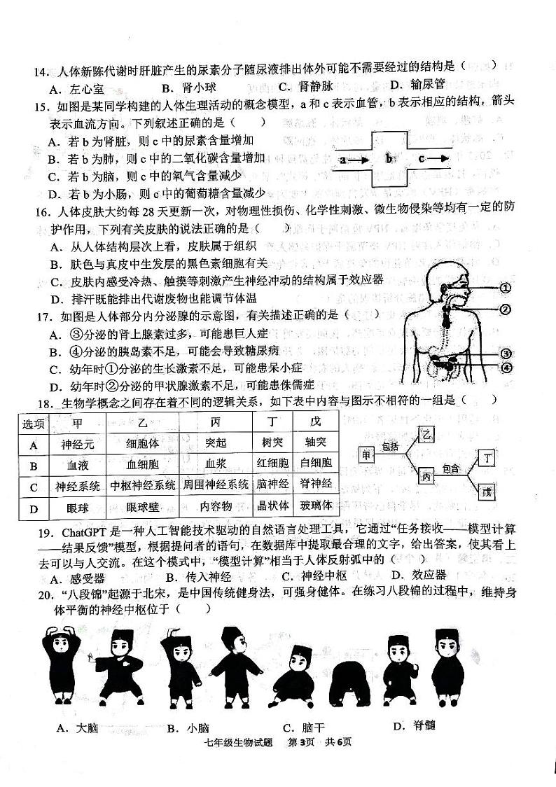 山东省济宁市微山县2023-2024学年七年级下学期7月期末生物试题第3页