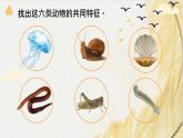 人教版 初中生物七年级上册2.2.1无脊椎动物课件+视频