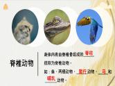 人教版 初中生物七年级上册2.2.1无脊椎动物课件+视频
