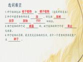 人教版 初中生物七年级上册2.1.2种子植物课件+视频