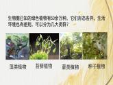人教版 初中生物七年级上册2.1.1藻类、苔藓和蕨类课件+视频