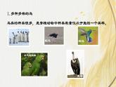 人教版 初中生物七年级上册2.2.2.3鸟和哺乳动物课件+视频