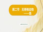 人教版 初中生物七年级上册2.2.2.1鱼课件+视频