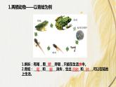 人教版 初中生物七年级上册2.2.2.2两栖动物和爬行动物课件+视频