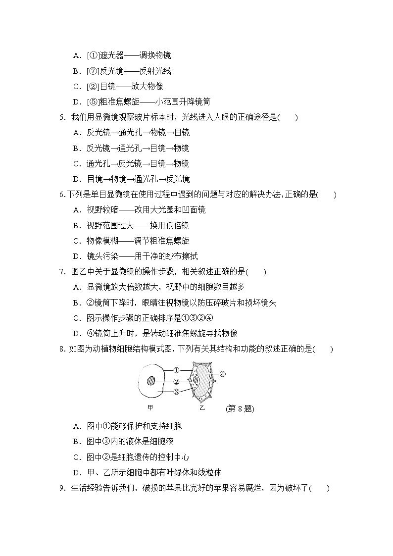2024-2025学年人教版生物七年级上册期中达标测试卷02