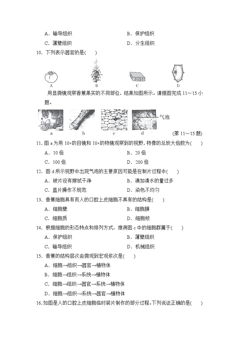 2024-2025学年人教版生物七年级上册期中达标测试卷03