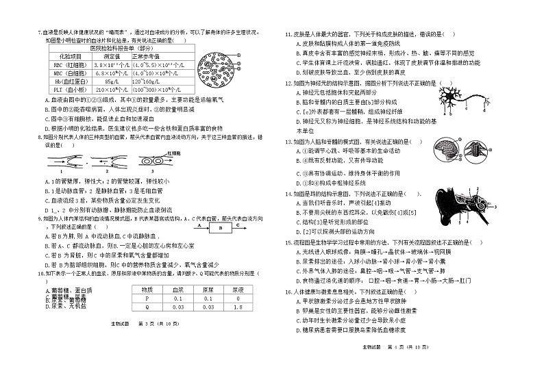山东省济南市高新区2023-2024学年七年级下学期期末考试生物试题02