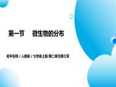 【核心素养目标】人教版初中生物七年级上册2.3.1《微生物的分布》课件+视频+教学设计+同步分层练习（含答案）