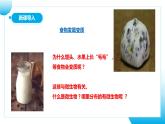 【核心素养目标】人教版初中生物七年级上册2.3.1《微生物的分布》课件+视频+教学设计+同步分层练习（含答案）