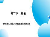 【核心素养目标】人教版初中生物七年级上册2.3.2《细菌》课件+视频+教学设计+同步分层练习（含答案）