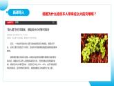 【核心素养目标】人教版初中生物七年级上册2.3.2《细菌》课件+视频+教学设计+同步分层练习（含答案）