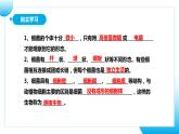 【核心素养目标】人教版初中生物七年级上册2.3.2《细菌》课件+视频+教学设计+同步分层练习（含答案）