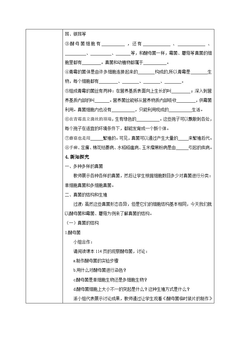 【核心素养目标】人教版初中生物七年级上册2.3.3《真菌》课件+视频+教学设计+同步分层练习（含答案）02