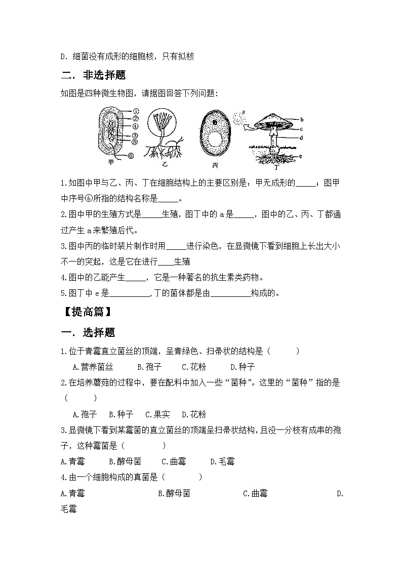 【核心素养目标】人教版初中生物七年级上册2.3.3《真菌》课件+视频+教学设计+同步分层练习（含答案）02