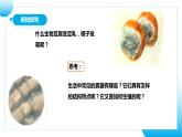 【核心素养目标】人教版初中生物七年级上册2.3.3《真菌》课件+视频+教学设计+同步分层练习（含答案）