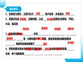 【核心素养目标】人教版初中生物七年级上册2.3.3《真菌》课件+视频+教学设计+同步分层练习（含答案）