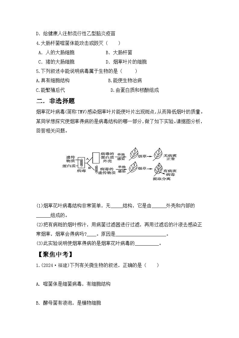 【核心素养目标】人教版初中生物七年级上册2.3.4《病毒》课件+视频+教学设计+同步分层练习（含答案）03