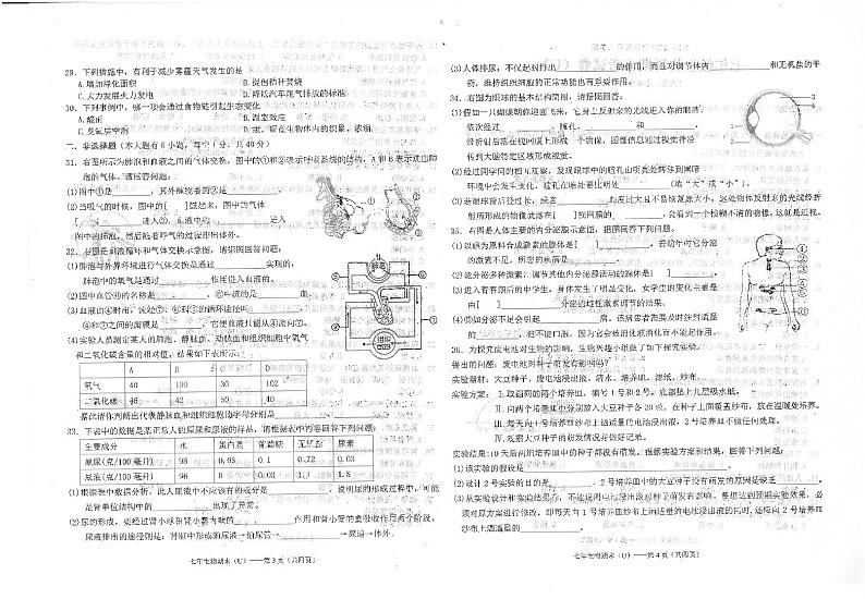 广东省汕头市潮南区陈店镇联考2023-2024学年七年级下学期7月期末生物试题第2页