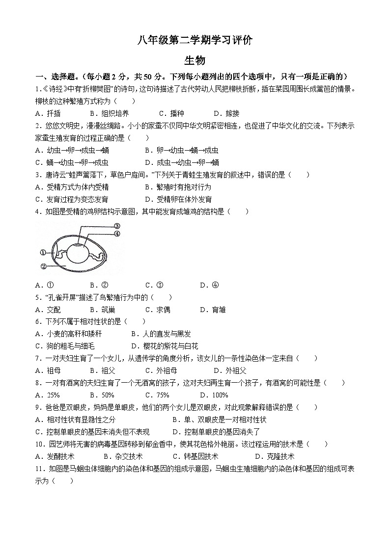 甘肃省武威市凉州区洪祥镇九年制学校2023-2024学年八年级下学期期末学习评价生物试卷第1页