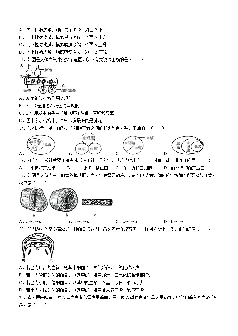 海南省海口市2023-2024学年七年级下学期期末检测生物试题03