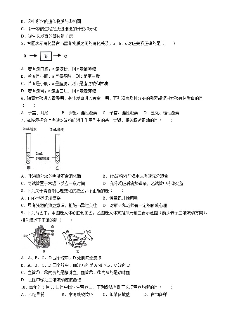 广东省广州市黄埔区2023-2024学年七年级下学期7月期末生物试题(无答案)02