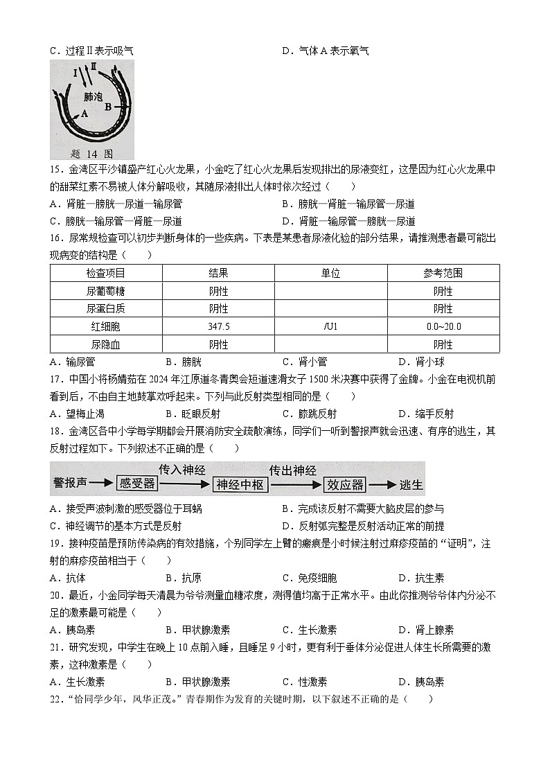 广东省珠海市金湾区2023-2024学年七年级下学期期末考试生物试题(无答案)第3页
