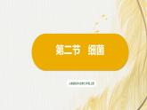 人教版 初中生物七年级上册2.3.2细菌课件+视频