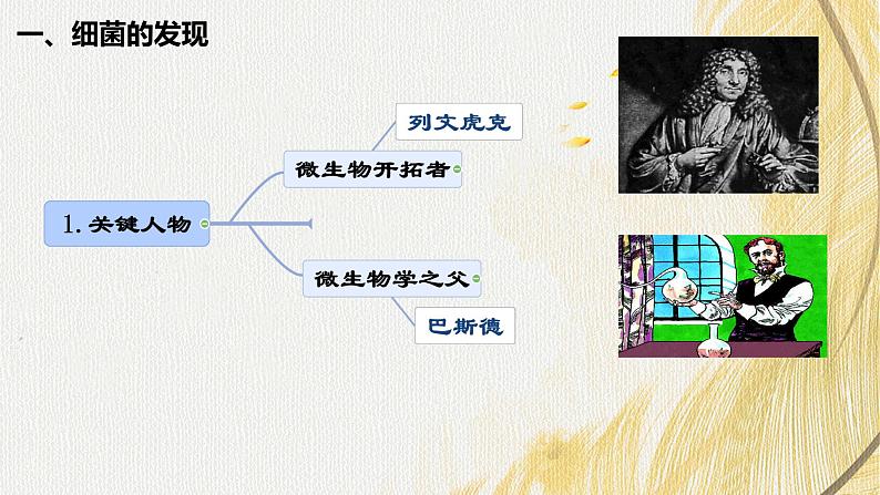 人教版 初中生物七年级上册2.3.2细菌课件+视频05