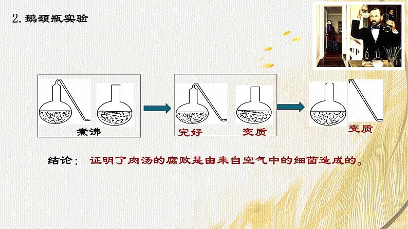 人教版 初中生物七年级上册2.3.2细菌课件+视频07