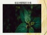 人教版 初中生物七年级上册2.4.1尝试对生物进行分类课件+视频