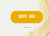 人教版 初中生物七年级上册2.3.4病毒课件+视频