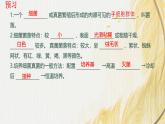 人教版 初中生物七年级上册2.3.1微生物的分布课件+视频