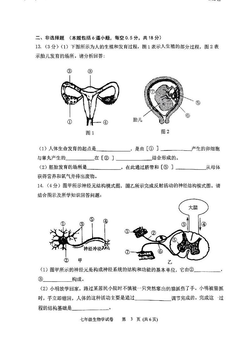 辽宁省铁岭市铁岭县2023-2024学年七年级下学期7月期末生物试题第3页
