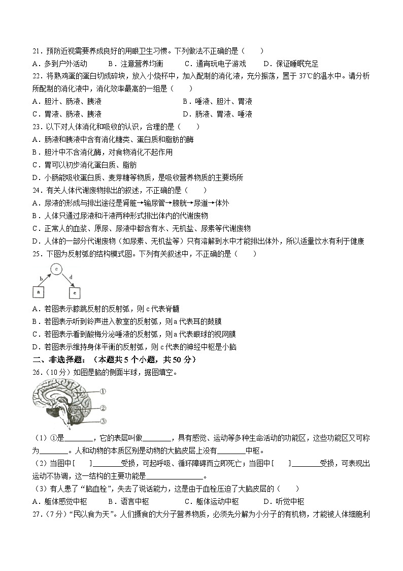 河南省洛阳市新安县2023-2024学年七年级下学期期末考试生物试卷03
