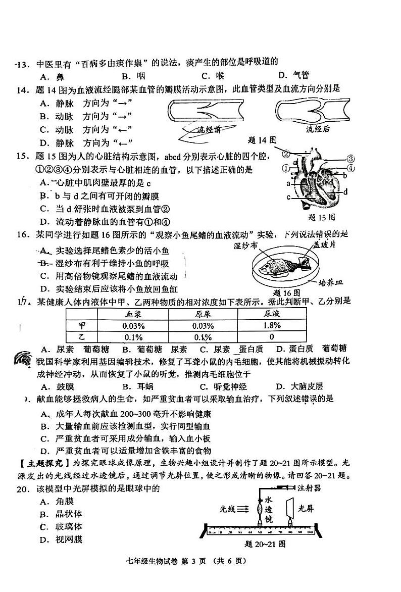 广东省佛山市顺德区2023-2024学年七年级下学期期末考试生物试卷03