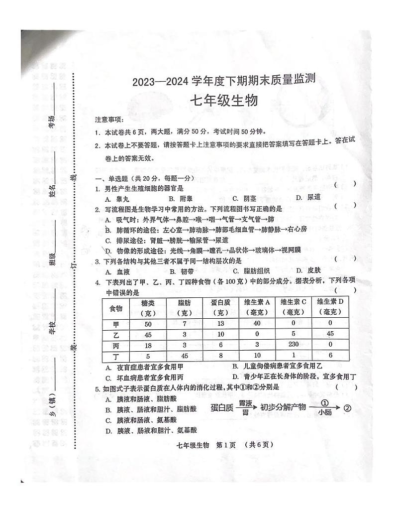 河南省周口市2023-2024 学年七年级下学期期末质量监测生物试卷01