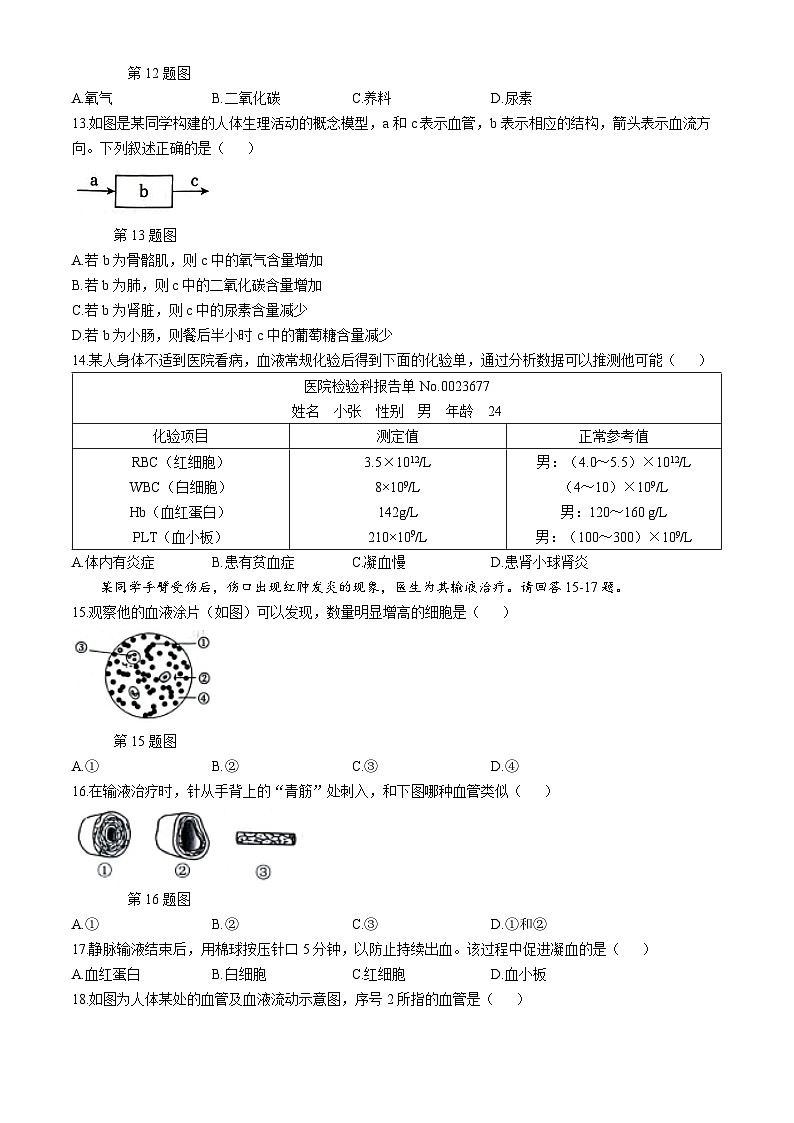 广东省深圳市龙岗区2023-2024学年七年级下学期7月期末生物试题(无答案)第3页