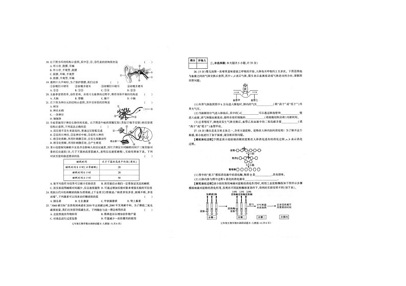 陕西省榆林市第十中学2023-2024学年七年级下学期期末考试生物试题第2页
