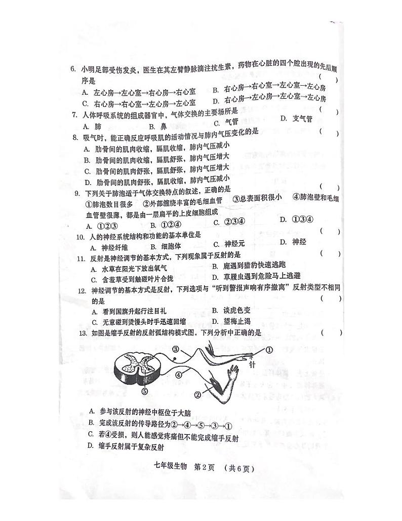 河南省周口市2023-2024+学年七年级下学期期末质量监测生物试卷02