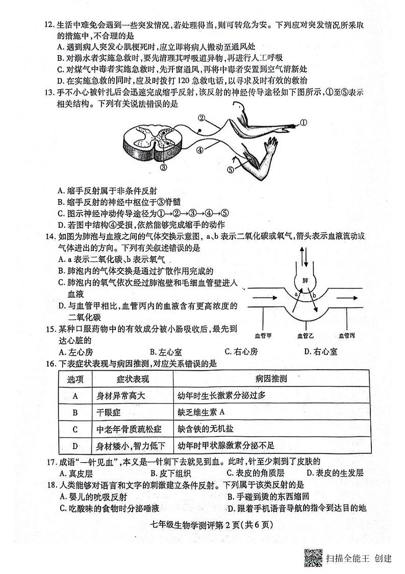 四川省内江市2023-2024学年七年级下学期7月期末生物试题第2页