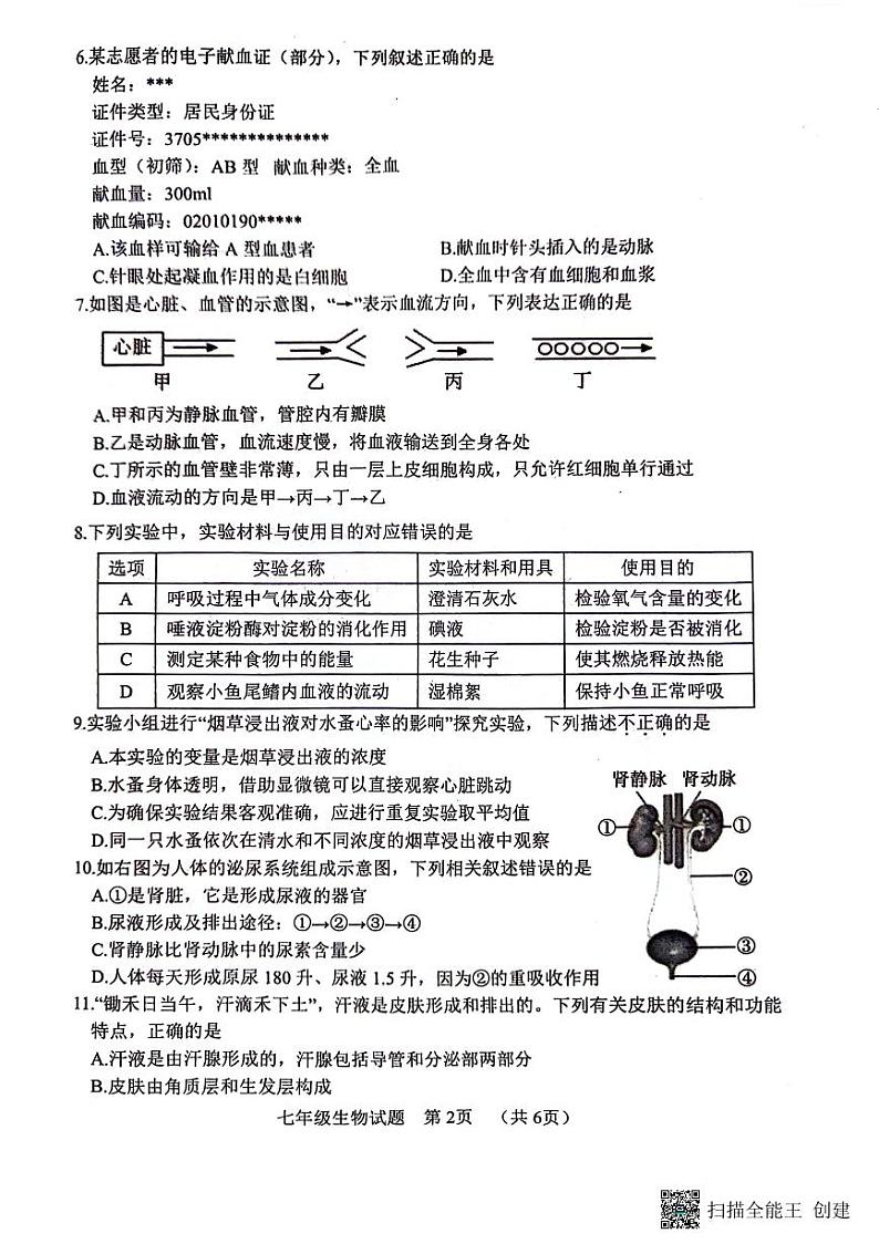 山东省菏泽市东明县2023—2024学年七年级下学期期末考试生物试题第2页