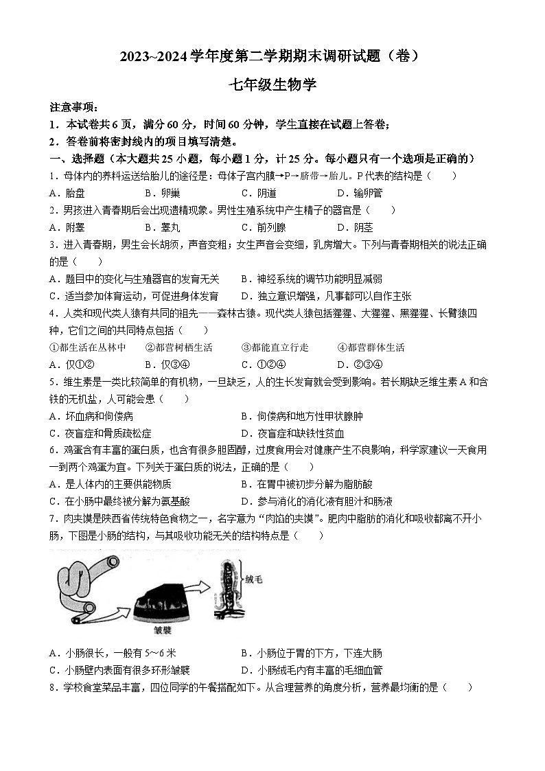 陕西省榆林市第十中学2023-2024学年七年级下学期期末考试生物试题第1页
