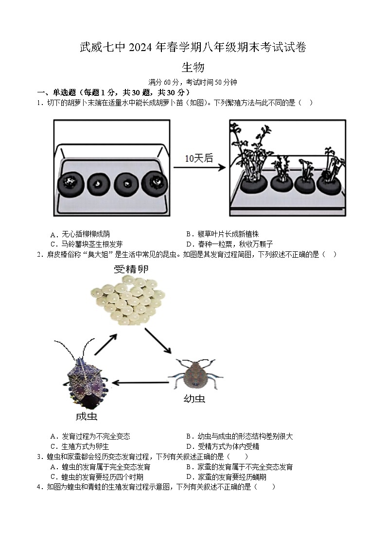 甘肃省武武威第七中学2023-2024学年下学期期末考试八年级生物试题(含答案)01