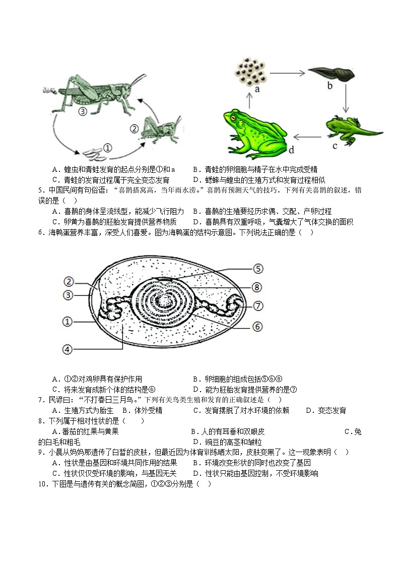 甘肃省武武威第七中学2023-2024学年下学期期末考试八年级生物试题(含答案)02